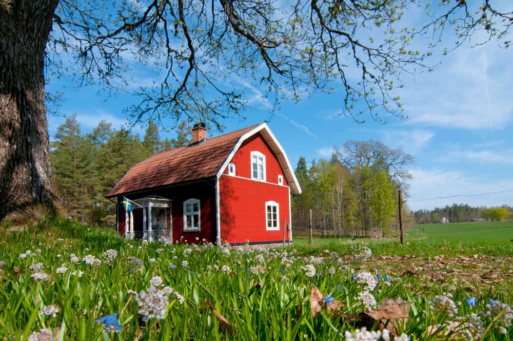 古色古香的瑞典红色房屋，屋顶被树木和草地包围。