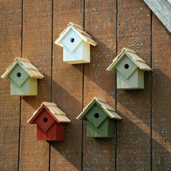 五个不同颜色的小木制鸟屋，安装在墙上。