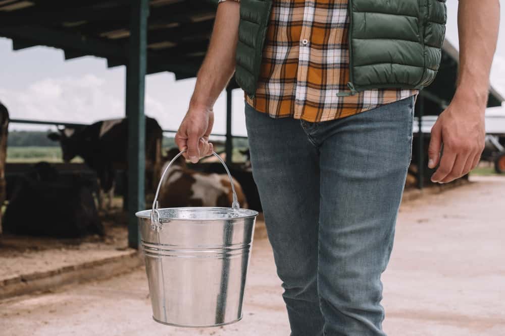 一个农民拿着一个金属桶，里面存放着他农场动物的饲料。