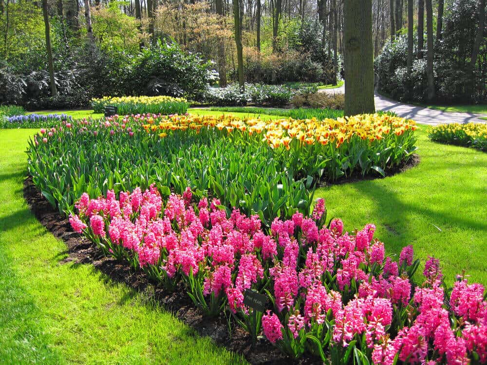 荷兰的一个植物园。