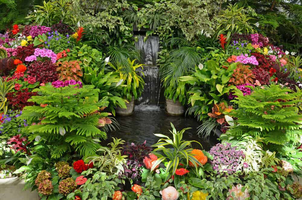 一个热带花园，有不同类型的植物和五颜六色的花朵。