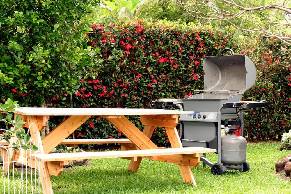 一个木制的野餐桌和一个烧烤架在绿色的后院。