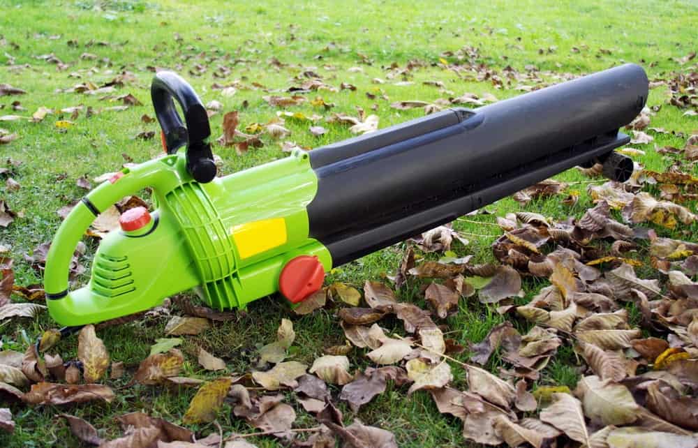 吹叶机放置在草坪地面周围的干树叶上。