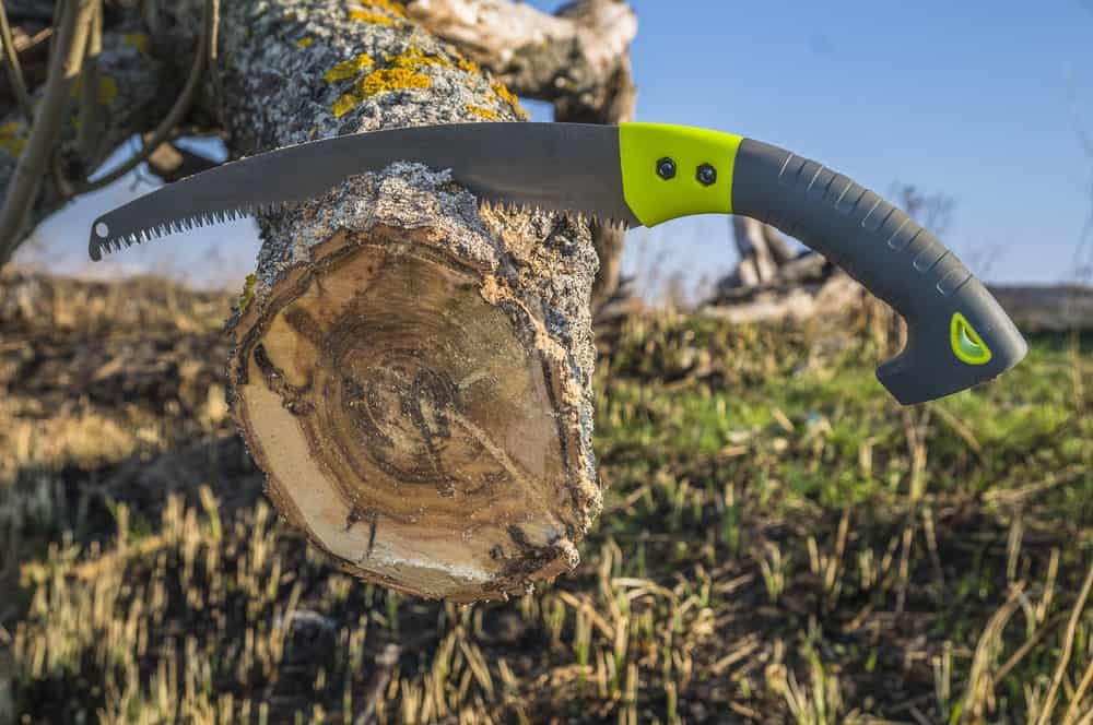修剪锯子放在圆木上。