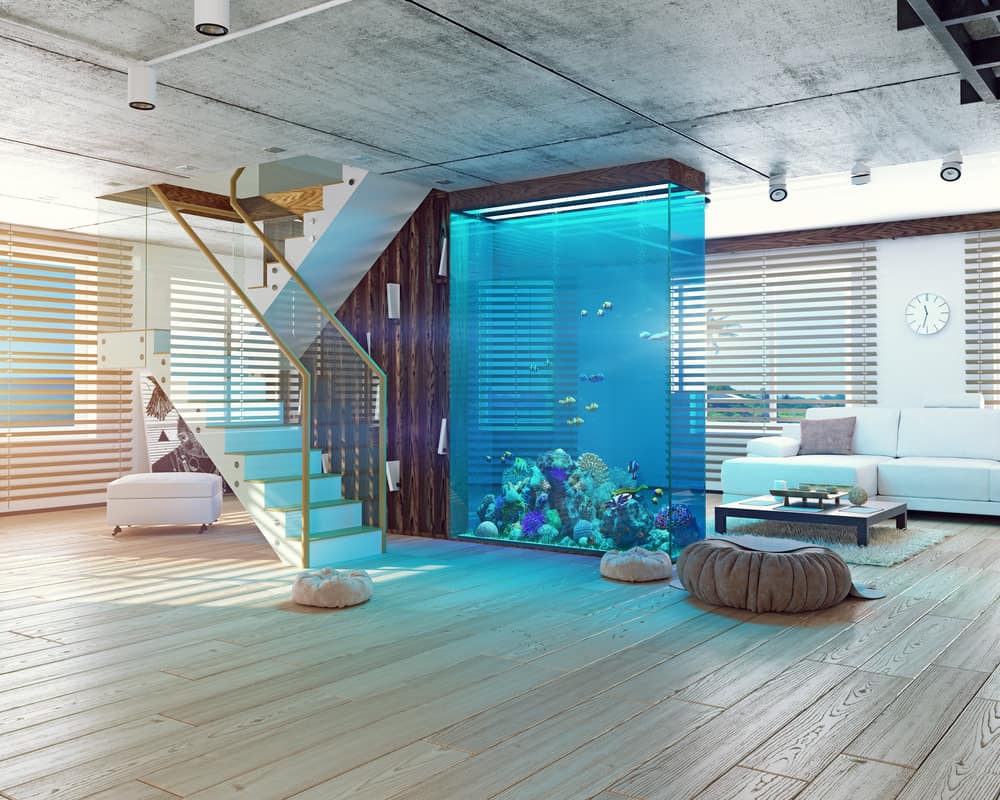 地板到天花板的水族馆作为房间分隔