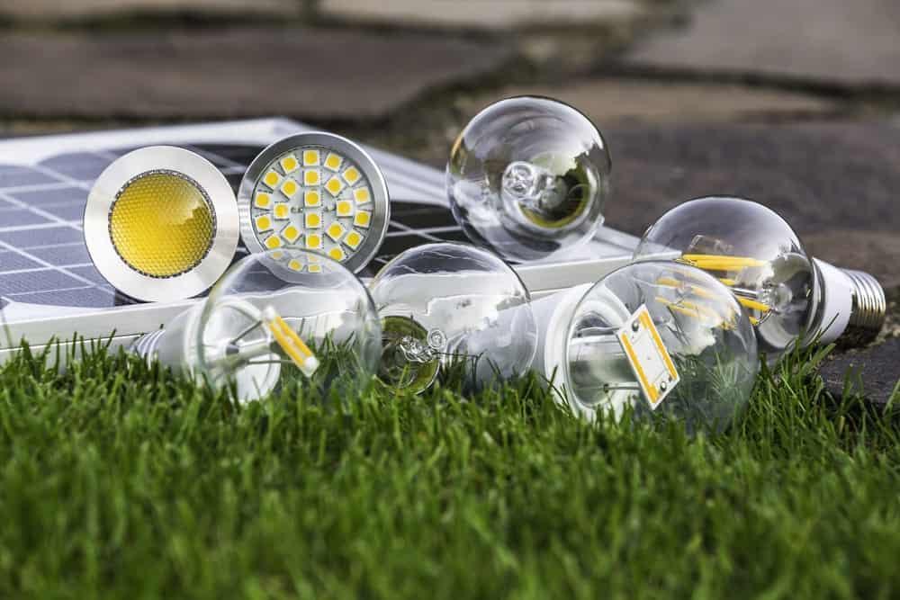 Led灯泡和草地上的太阳能电池板。