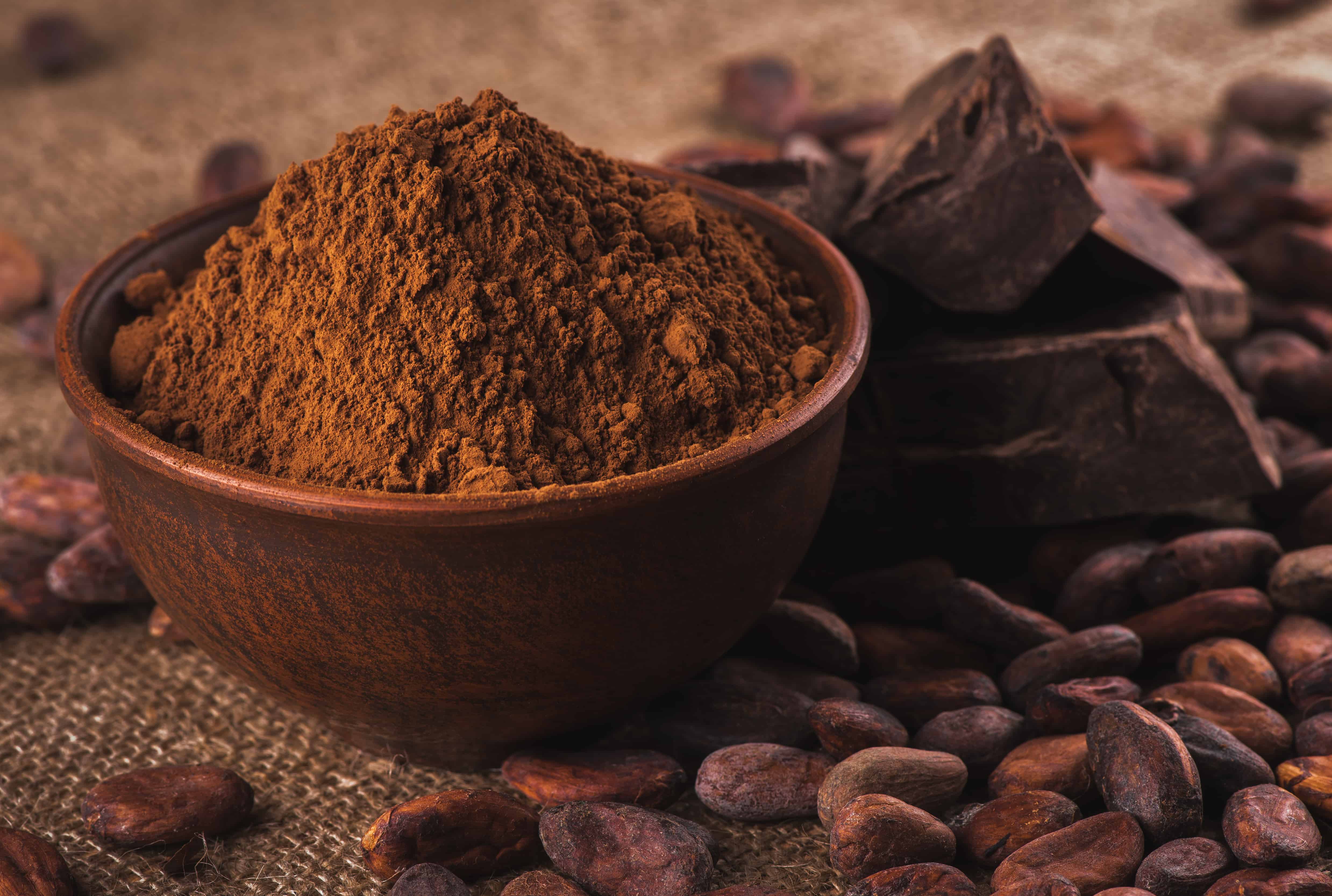 粗黑可可粉装在棕色的陶瓷碗里，生可可豆去皮，生巧克力上袋，准备巧克力和糖果的原料