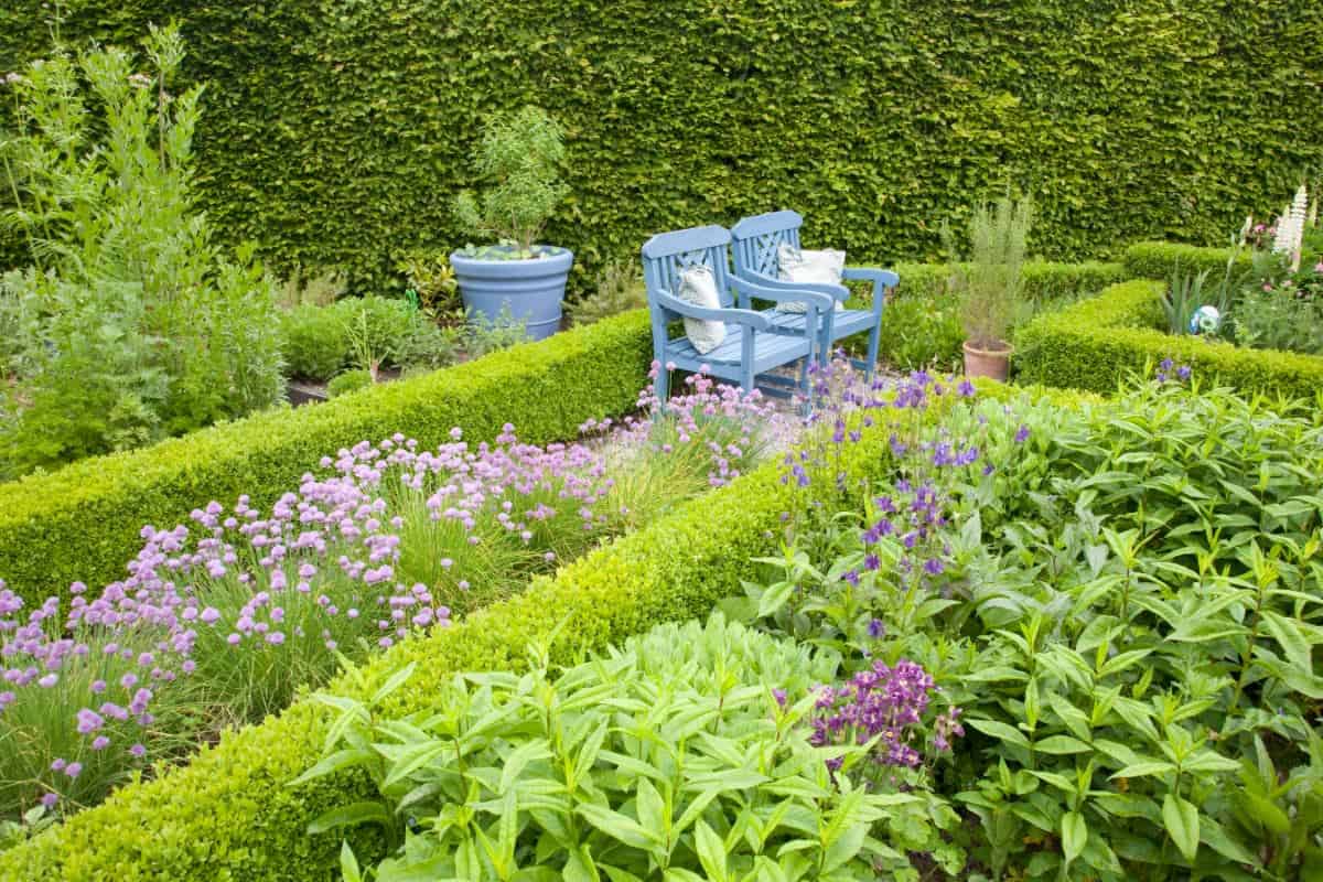 结花园与户外蓝色椅子