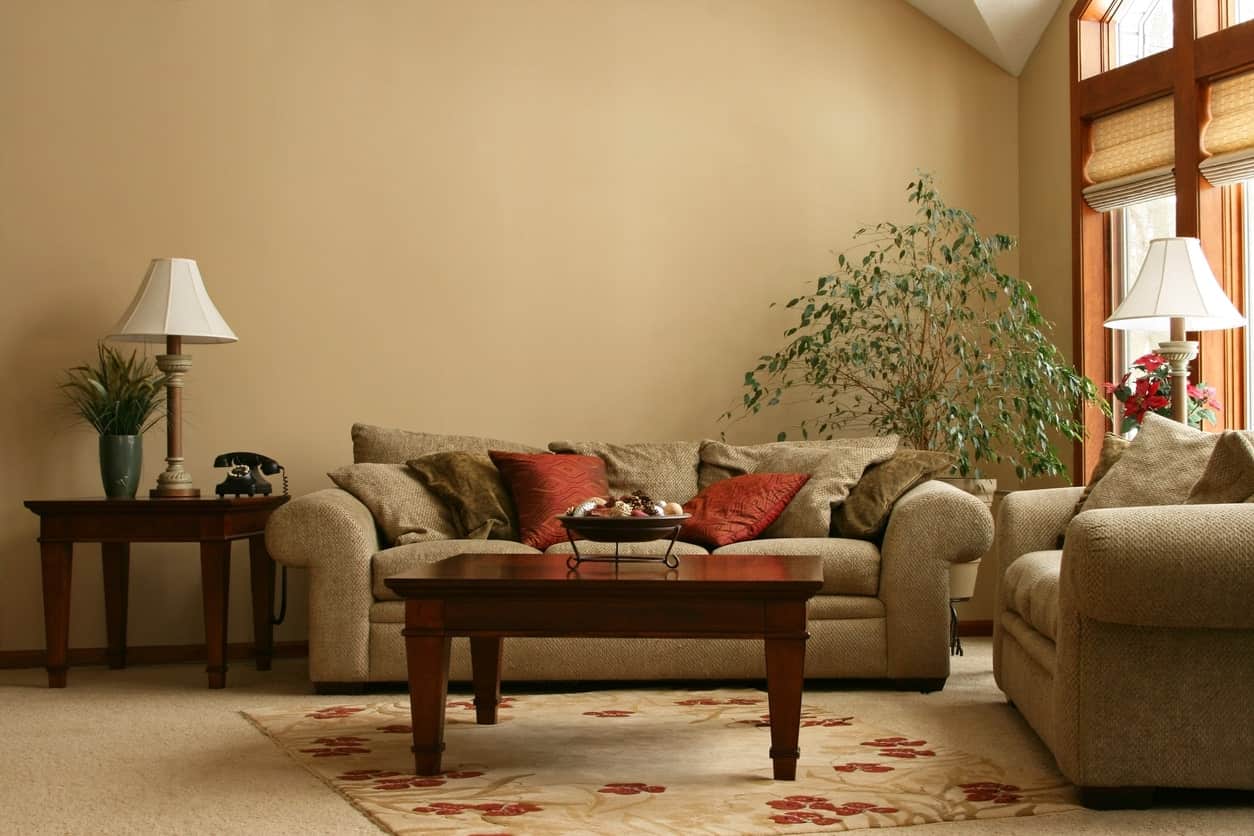 这间客厅以米黄色的墙壁和地毯地板以及可爱的地毯为特色。这套沙发和房间的风格很相配。