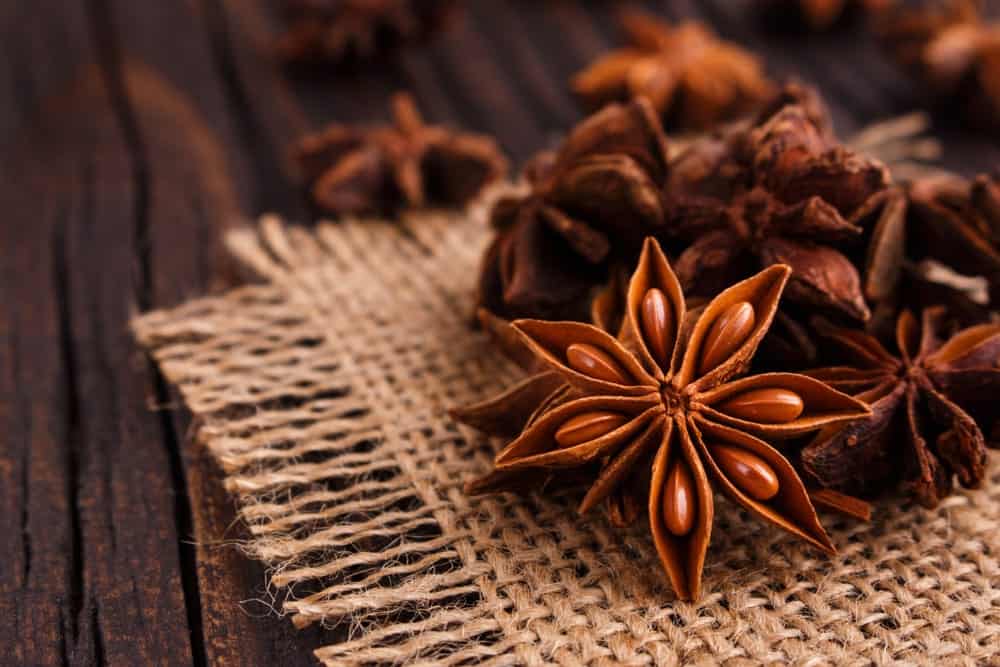 花形茴香香料