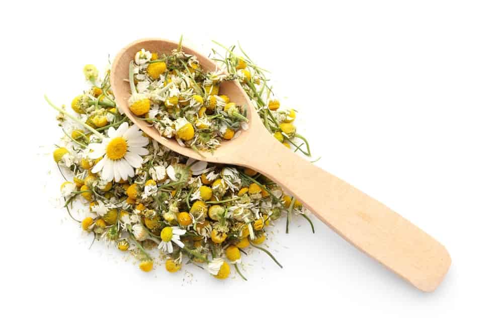 木勺上的洋甘菊