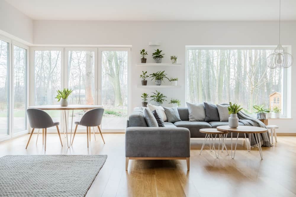 宽敞的斯堪的纳维亚风格的客厅设有浅色硬木地板，灰色的l形沙发组合，和一个带灰色椅子的用餐区。木饰面和金属咖啡桌是教科书式的斯堪的纳维亚设计。