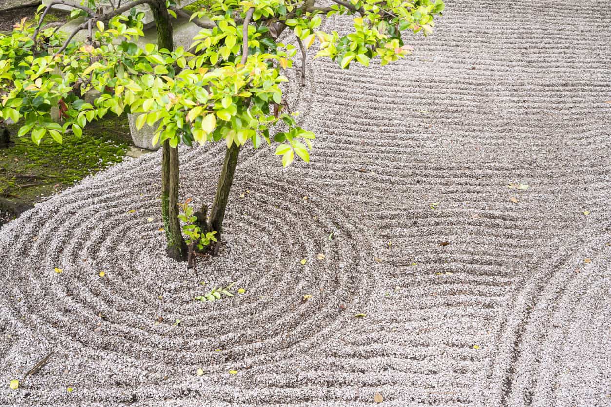 来自禅宗园林的细节，这是日本式的岩石园林，呈现微型景观。它是用岩石、水或水景、沙子、苔藓、树木和灌木精心安排的冥想场所。