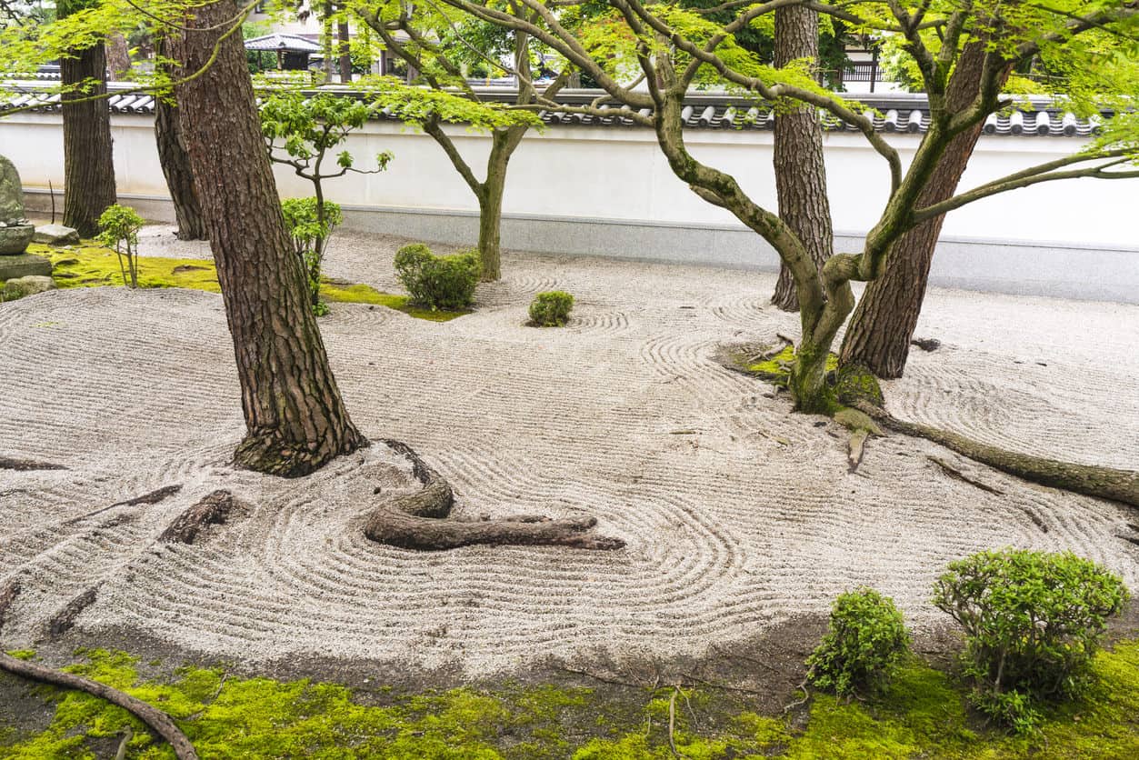 来自禅宗园林的细节，这是日本式的岩石园林，呈现微型景观。这是一个精心安排的冥想场所，有岩石、苔藓、树木和树根，背景是白色的墙。那是在日本京都的千寺。