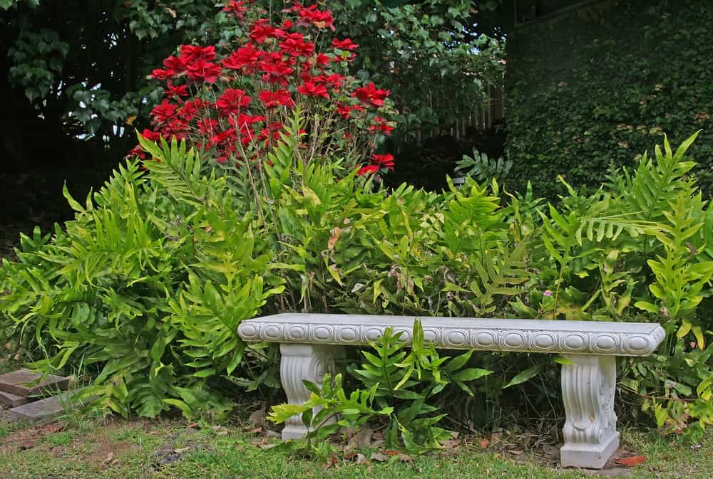 花园用的混凝土长凳