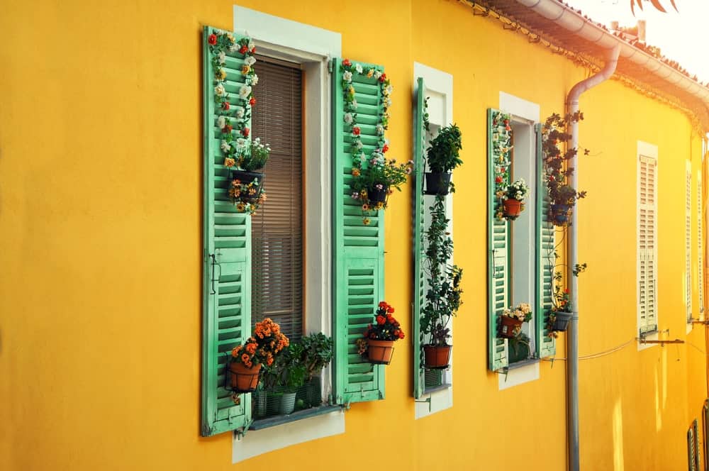 绿色百叶窗上的花盆，亮黄色墙壁的房子。