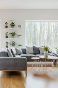 宽敞的斯堪的纳维亚风格的客厅设有浅色硬木地板，灰色的l形沙发组合，和一个带灰色椅子的用餐区。木饰面和金属咖啡桌是教科书式的斯堪的纳维亚设计。