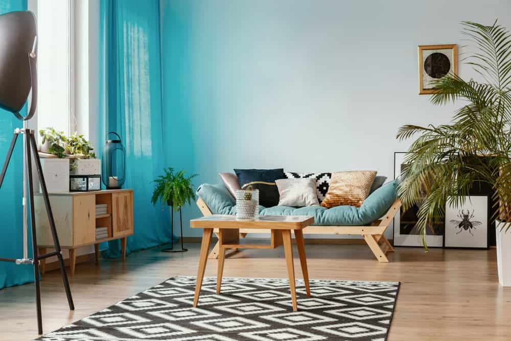 这间客厅有一个带靠垫和抱枕的木制沙发。室内也有植物，为空间增添了色彩。