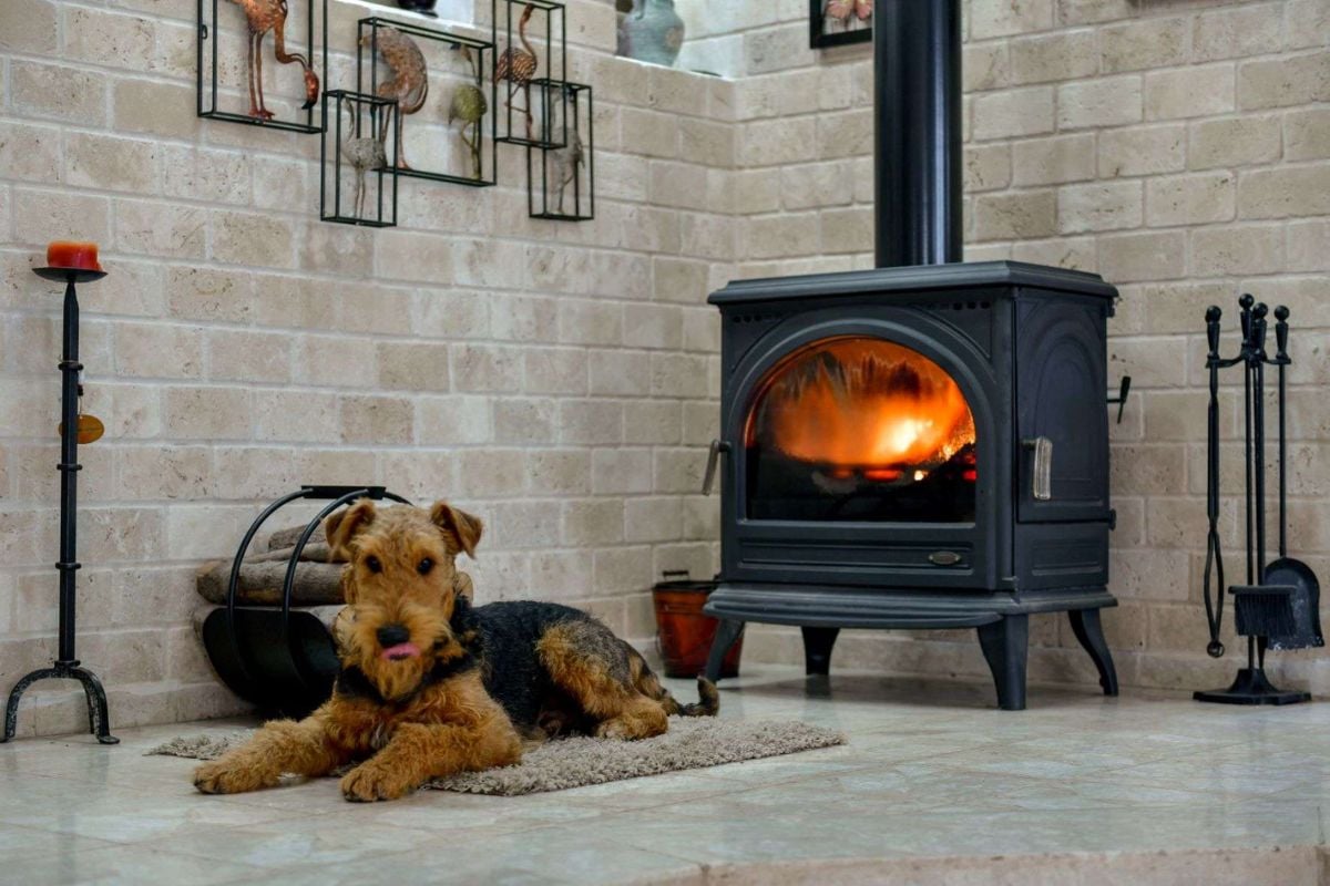 一个豪华的独立式壁炉，地毯上有一只可爱的狗。