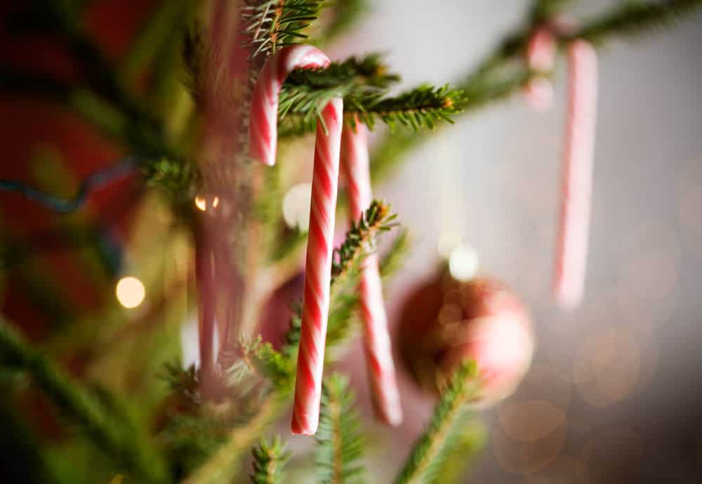 圣诞树上有糖果手杖装饰