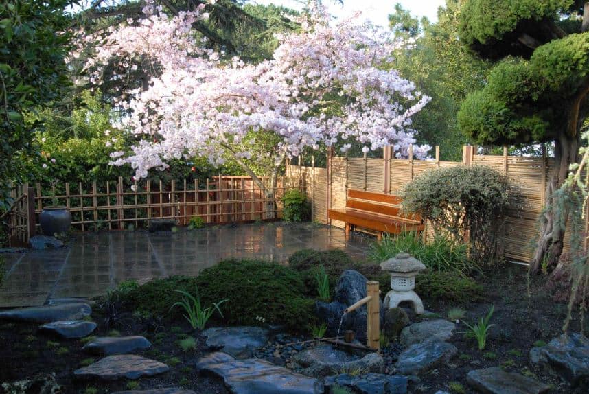 这个辉煌的亚洲风格的后院有竹条作为围栏，搭配一个木制的长凳，你可以坐在上面享受宁静的小禅宗花园，有灌木、树木、装饰性的岩石，甚至还有一个小竹喷泉。