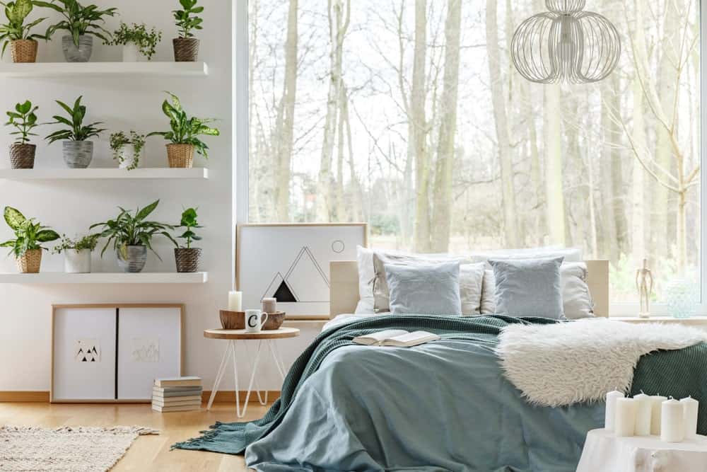 与光的卧室实木地板和一幅画窗口框架的迷人的森林。它有一个舒适的床上,白色的架子放满绿色的盆栽植物。