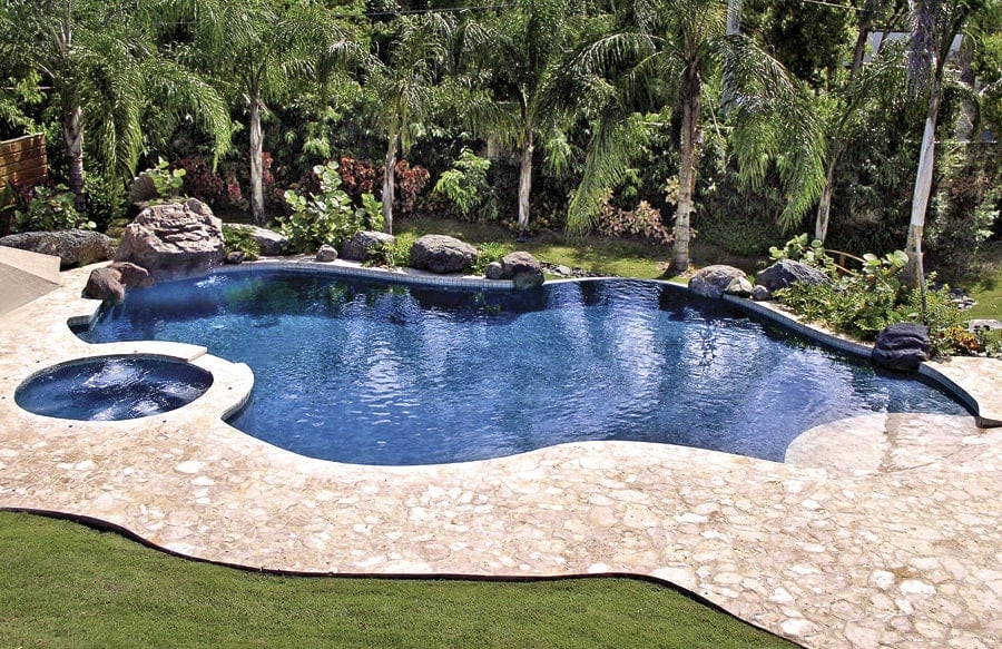 这个带有按摩浴缸的后院游泳池在郁郁葱葱的绿色草坪上脱颖而出，该草坪是由高耸的棕榈树和放在泳池甲板上的大石头突出的。
