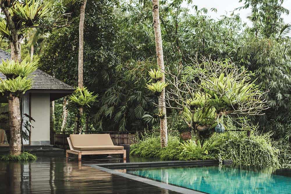 这是房子的后面，有一个木制甲板地板，通往无边泳池，周围茂密的树木和灌木景观装饰着泳池。