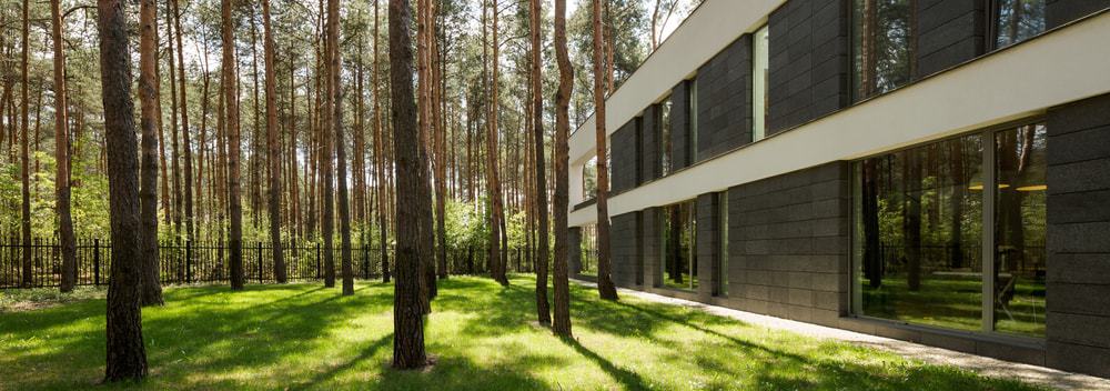 树林里的长方形独栋房子。