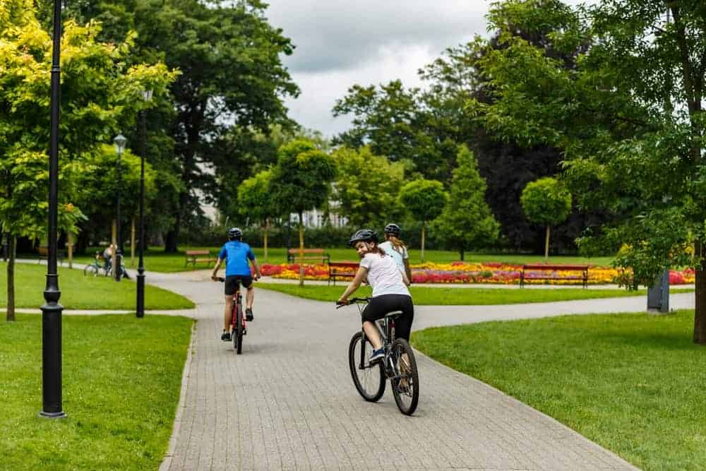 一群人骑着自行车在美丽的公园里，公园里有高大的树木和郁郁葱葱的绿草。