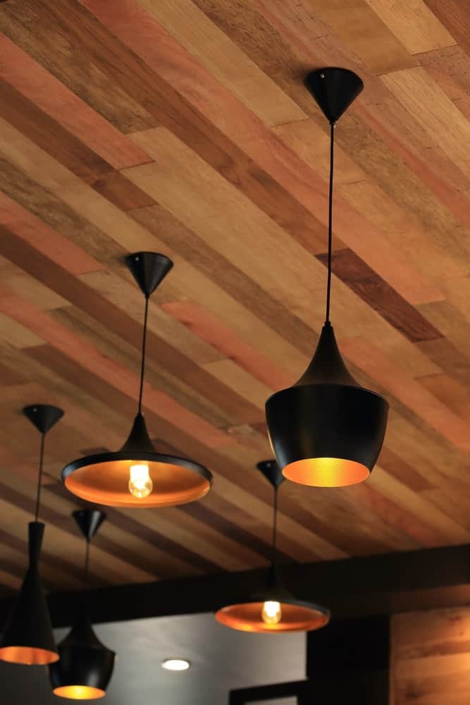 木镶板的天花板上挂着黑色的吊灯。