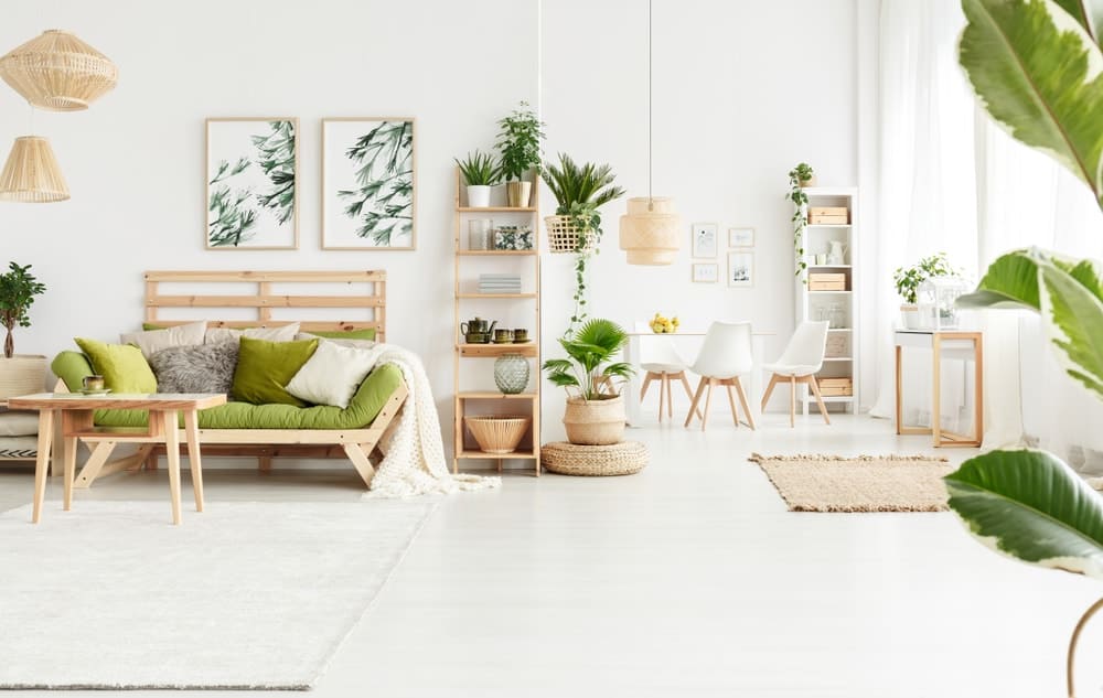 一个明亮的白色客厅，辅以各种盆栽植物和植物艺术品。