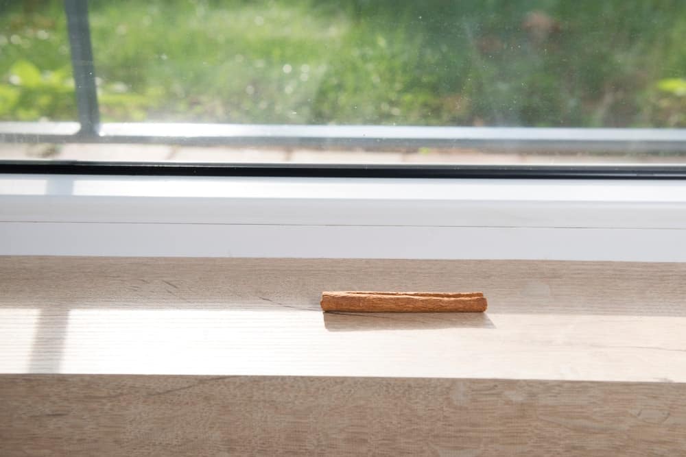 桂皮:放在窗台上用来赶走蚂蚁的桂皮