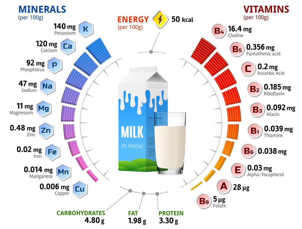 牛奶营养事实图表