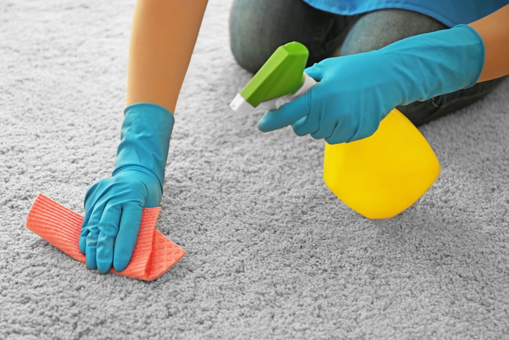 一双戴着手套的手在擦拭灰色的地毯。