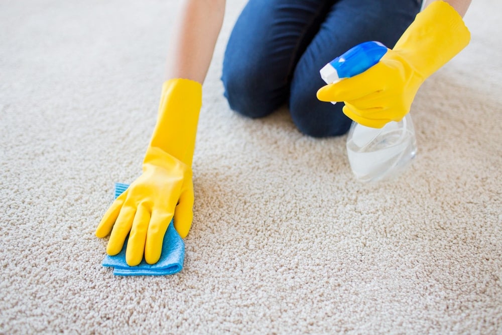 戴着手套的手用布和喷雾器清洁地毯。