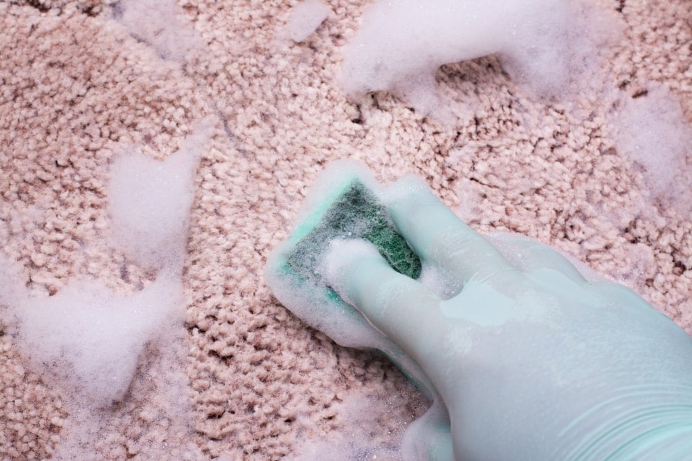 一只手用肥皂海绵擦洗地毯的特写。