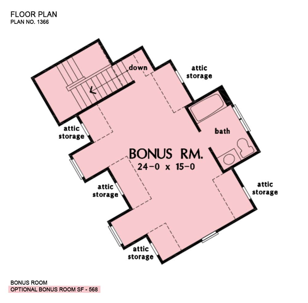奖励房间平面图与浴室，阁楼存储，和一个楼梯通向主要楼层。