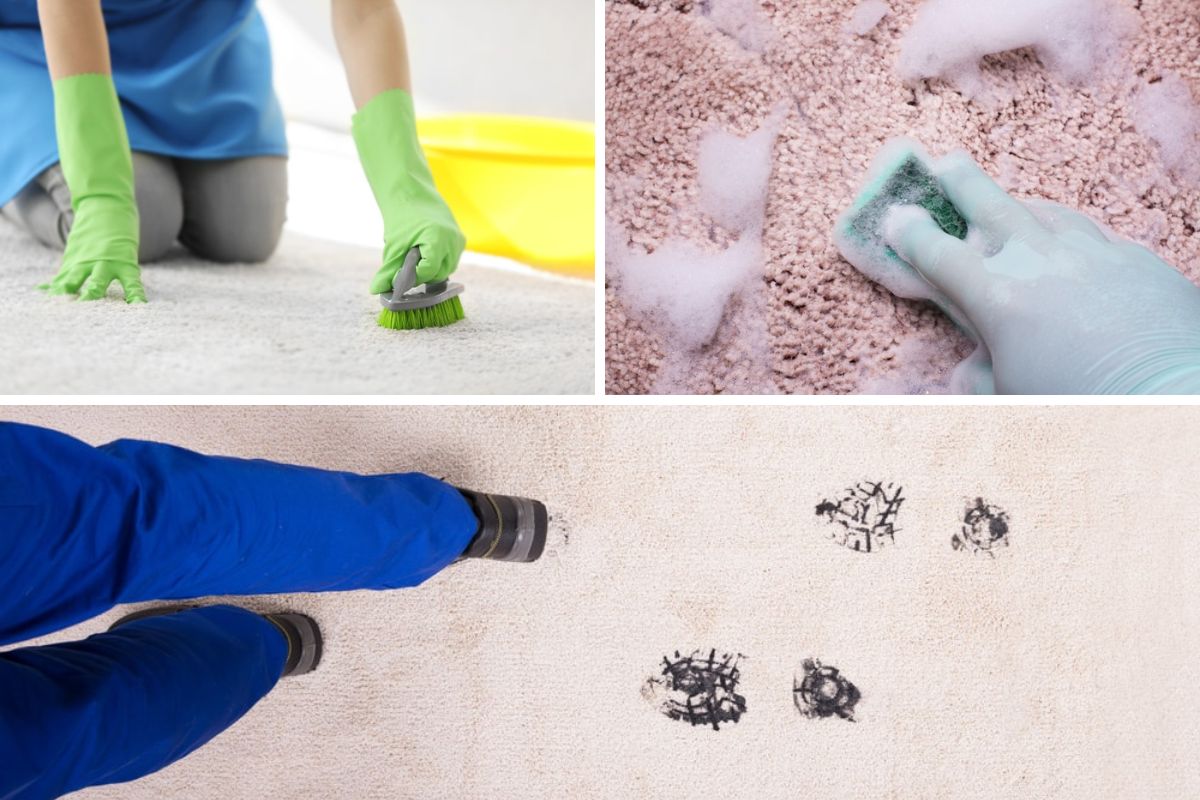 清除地毯上的鞋油。