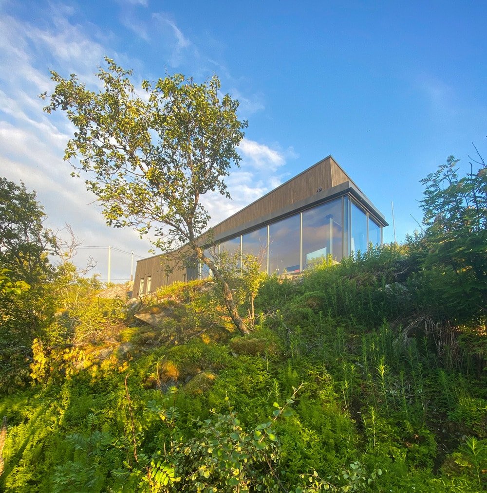这是一个较低的角度观看房子，展示了它的大玻璃墙，与周围郁郁葱葱的树木和灌木景观形成鲜明对比。
