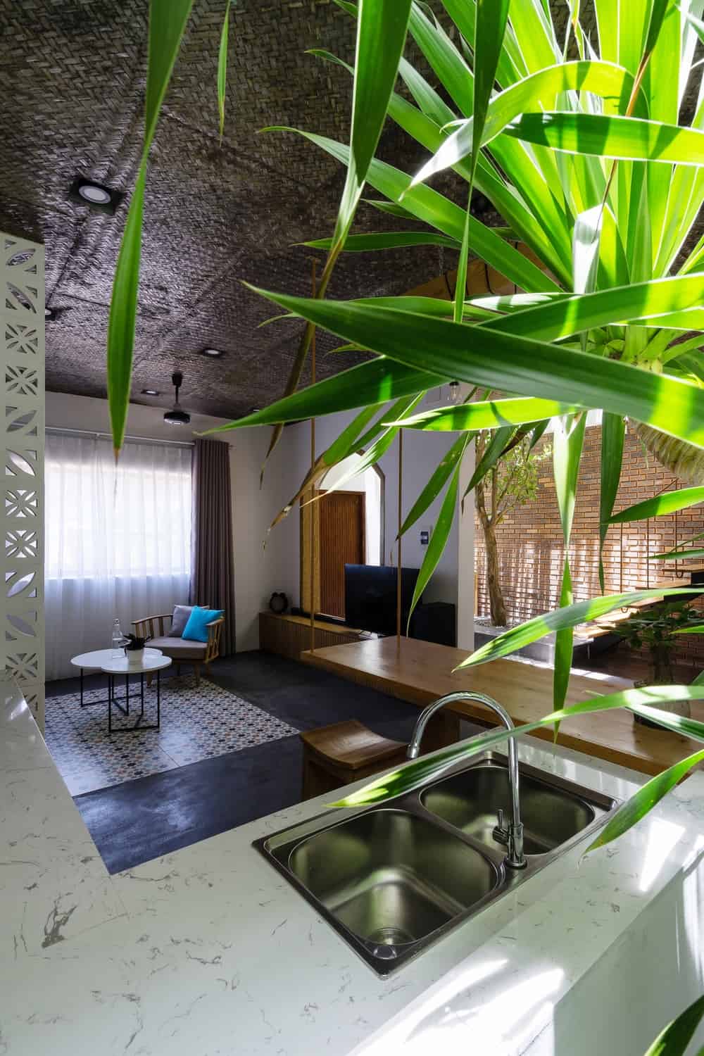 厨房的水槽区装饰着一株大型盆栽，距离厨房几步之遥就是客厅。
