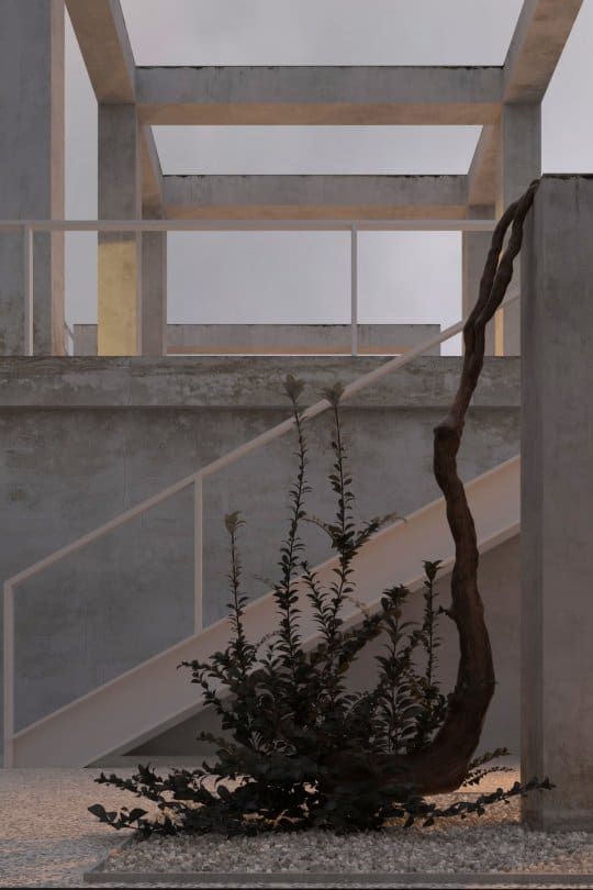 这是一个近距离观察房子的装饰植物安排，放置在楼梯一侧的混凝土柱旁边。