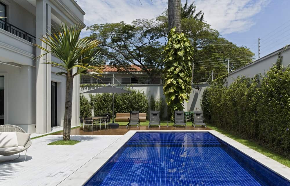 后院的蓝色游泳池被一排灌木环绕，装饰着高高的围墙，也提供了隐私。