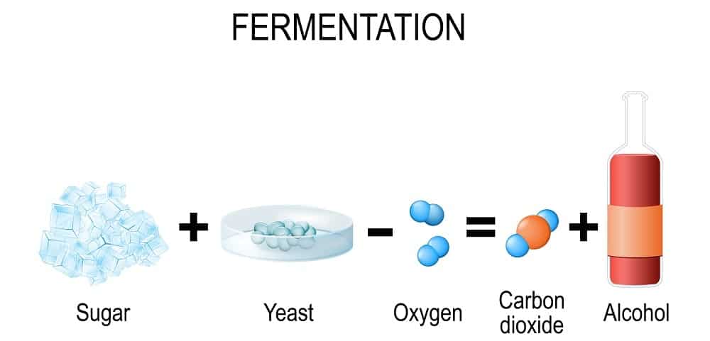 这是发酵公式的图示。