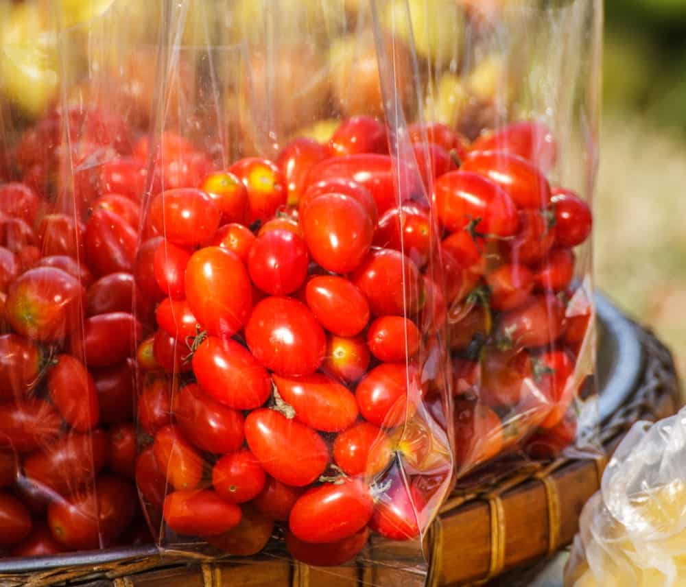 有机成熟西红柿的塑料袋。