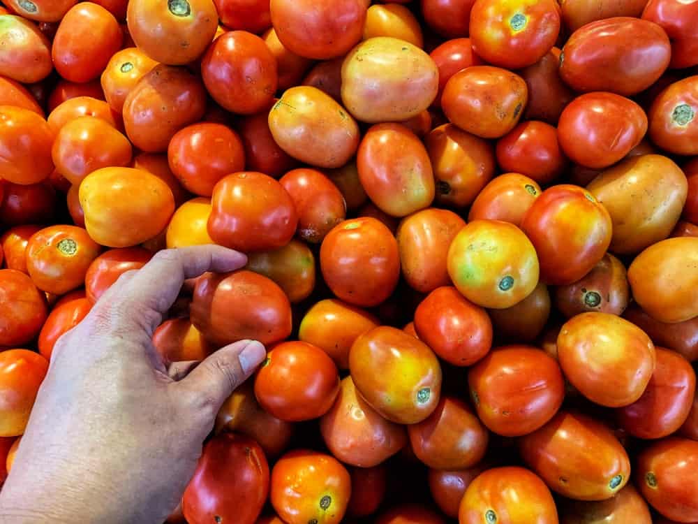 仔细观察从市场上挑选西红柿的人。