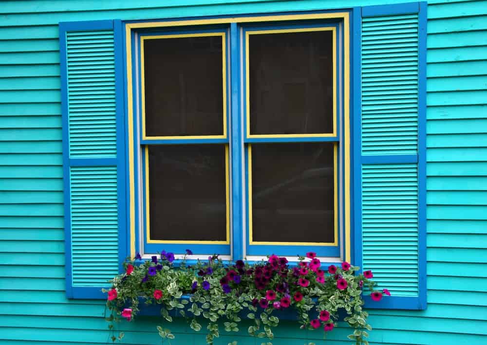 有双挂窗的房子，有花盆和百叶窗。