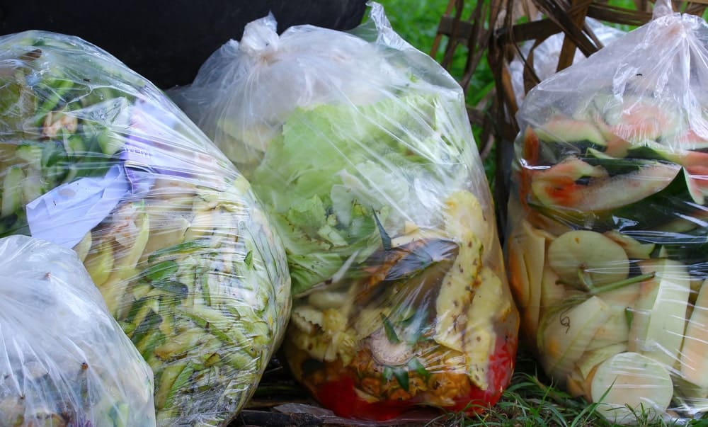 装满食物垃圾的塑料袋。
