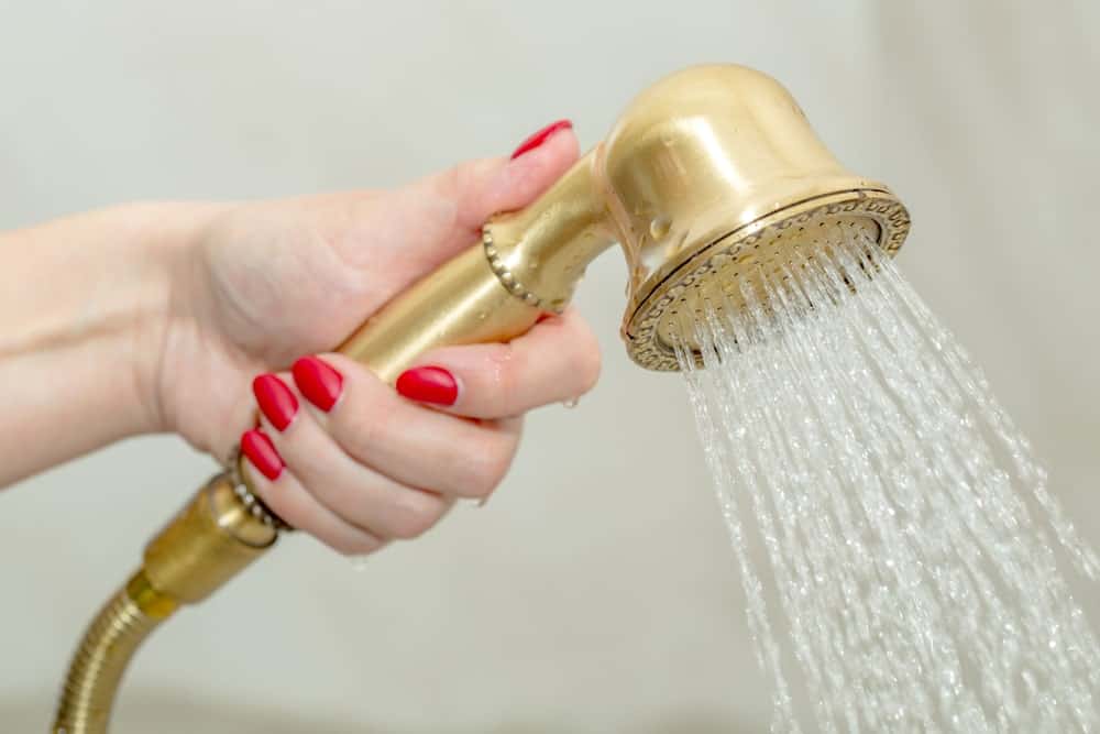 一个女人拿着一个老式的手持淋浴喷头。