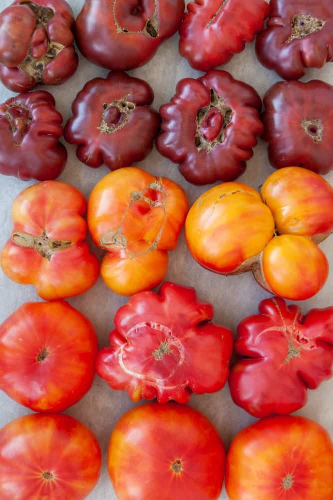 包括德国番茄在内的三种番茄。